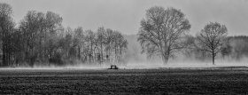 Phoca Thumb M Nebel In Den Elzwiesen